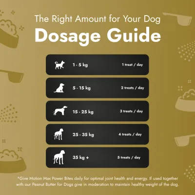 Motion Max - 90 Stück