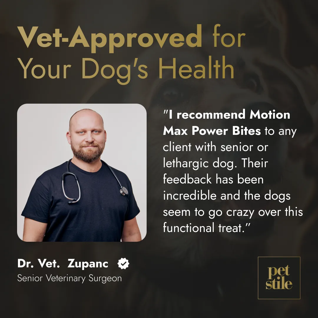 Motion Max - 90 Stück