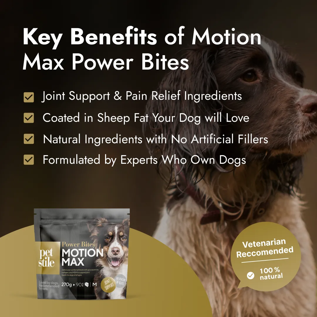 Motion Max - 90 Stück