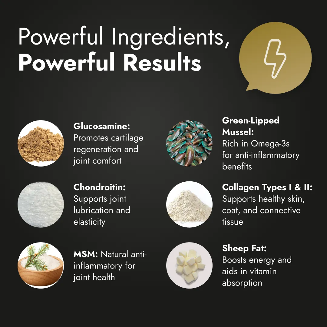 Motion Max - 90 Stück