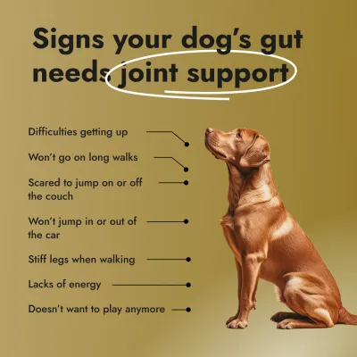 Motion Max - 90 Stück