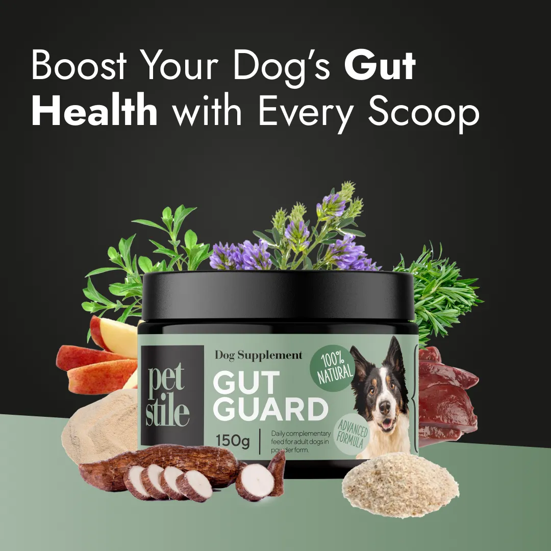 Gut Guard