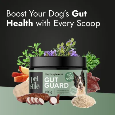 Gut Guard