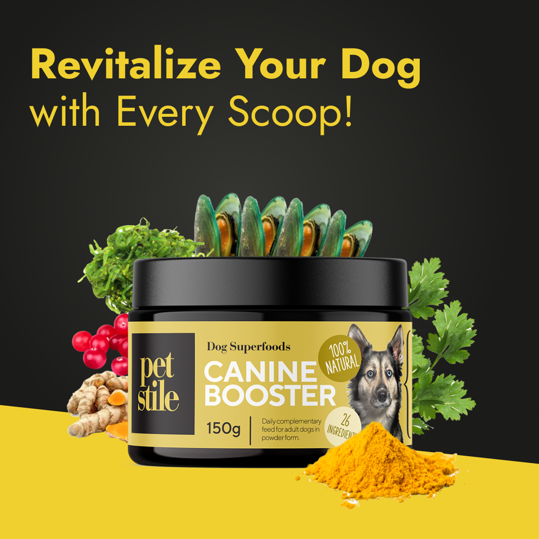 Canine Booster