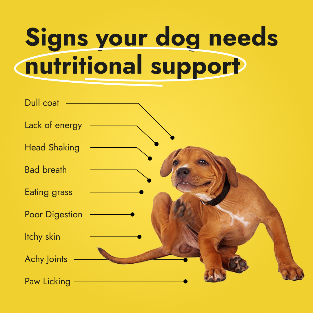 Canine Booster