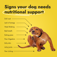 Canine Booster