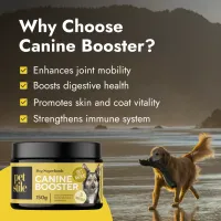 Canine Booster