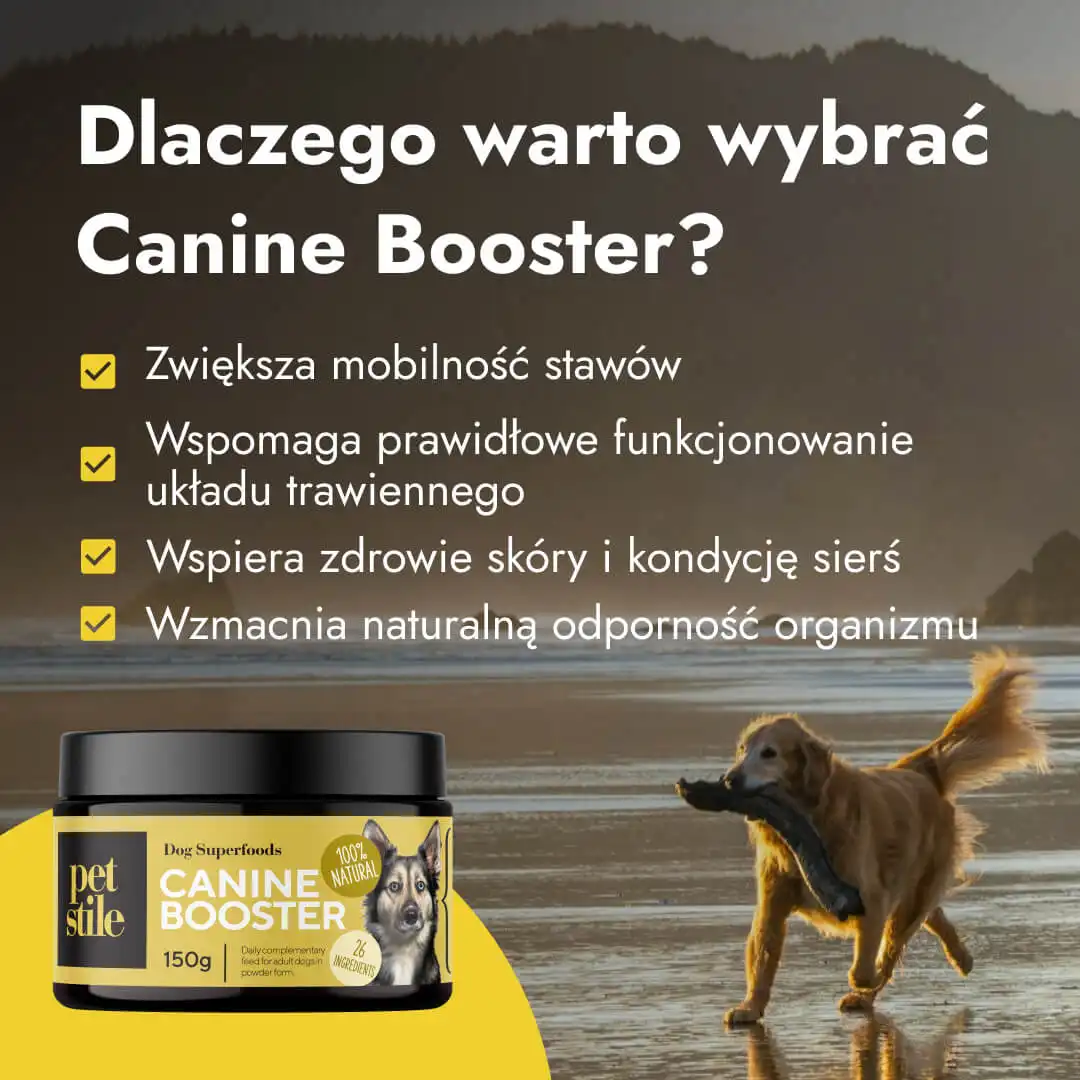 Canine Booster