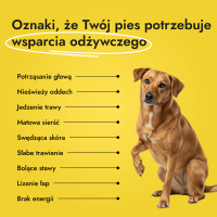 Canine Booster