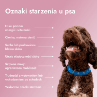 Pawse Aging Collagen