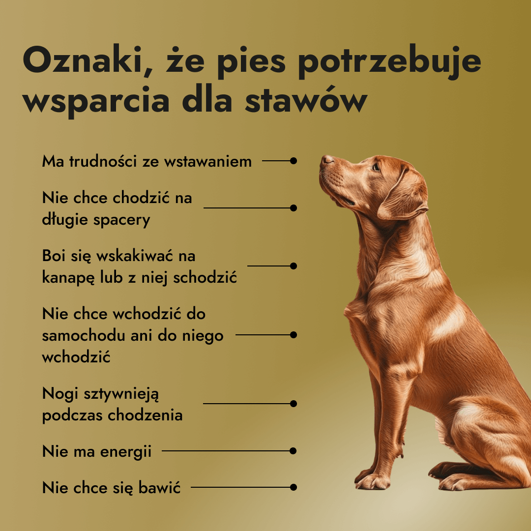 Motion Max - 90 Stück