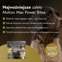 Motion Max - 90 Stück