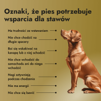 Motion Max - 90 Stück