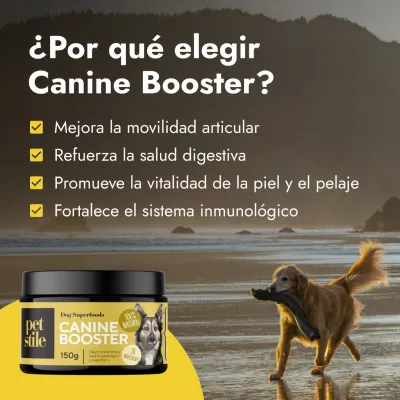 Canine - Booster