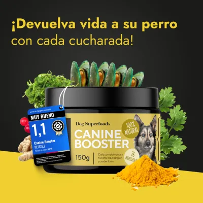 Canine - Booster