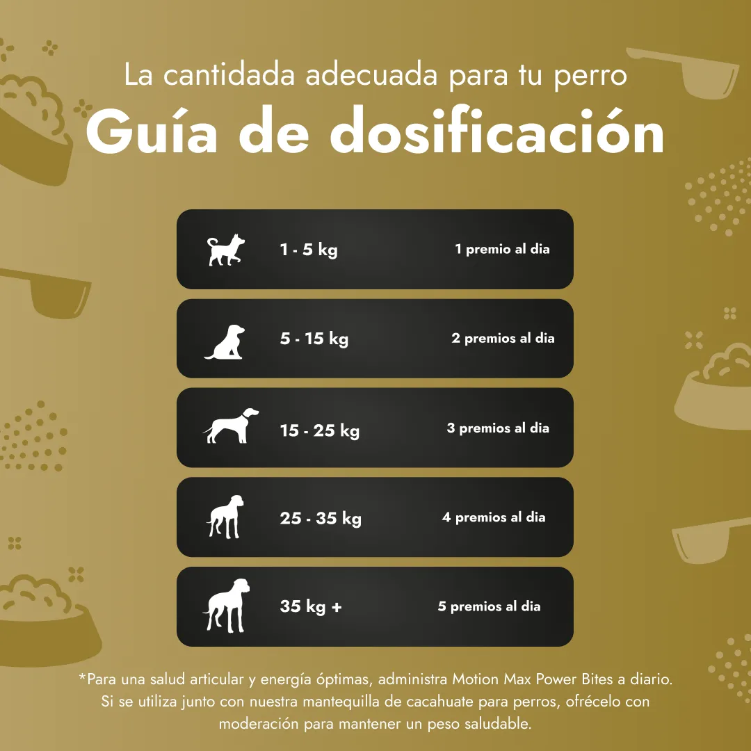 Motion Max - 90 Pedazo