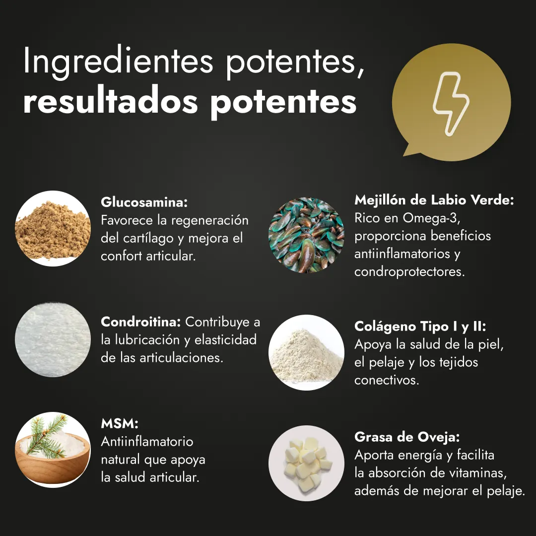 Motion Max - 90 Pedazo