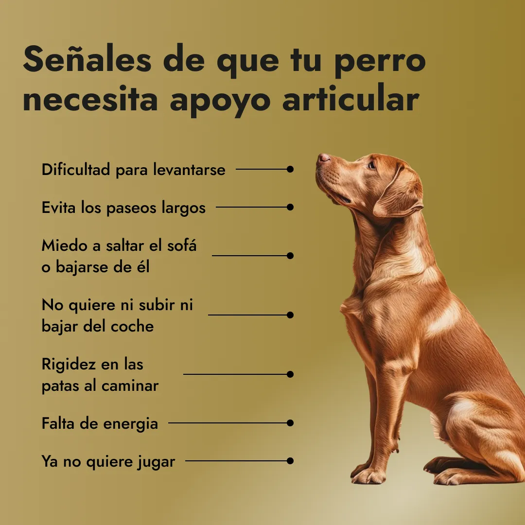 Motion Max - 90 Pedazo