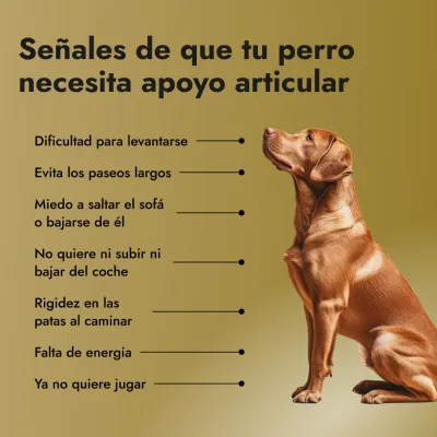 Motion Max - 90 Pedazo