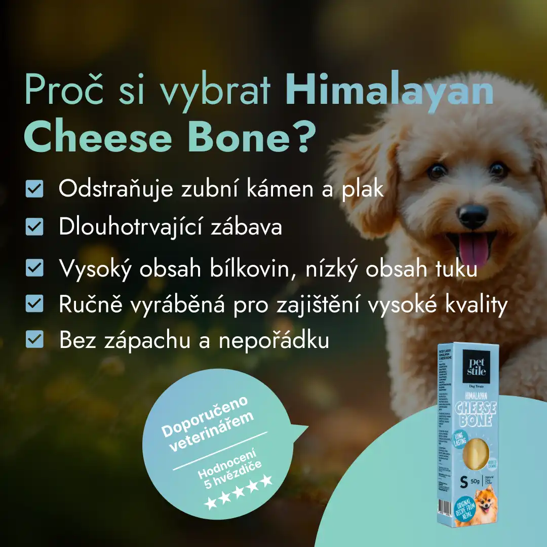 Cheese Bone - S