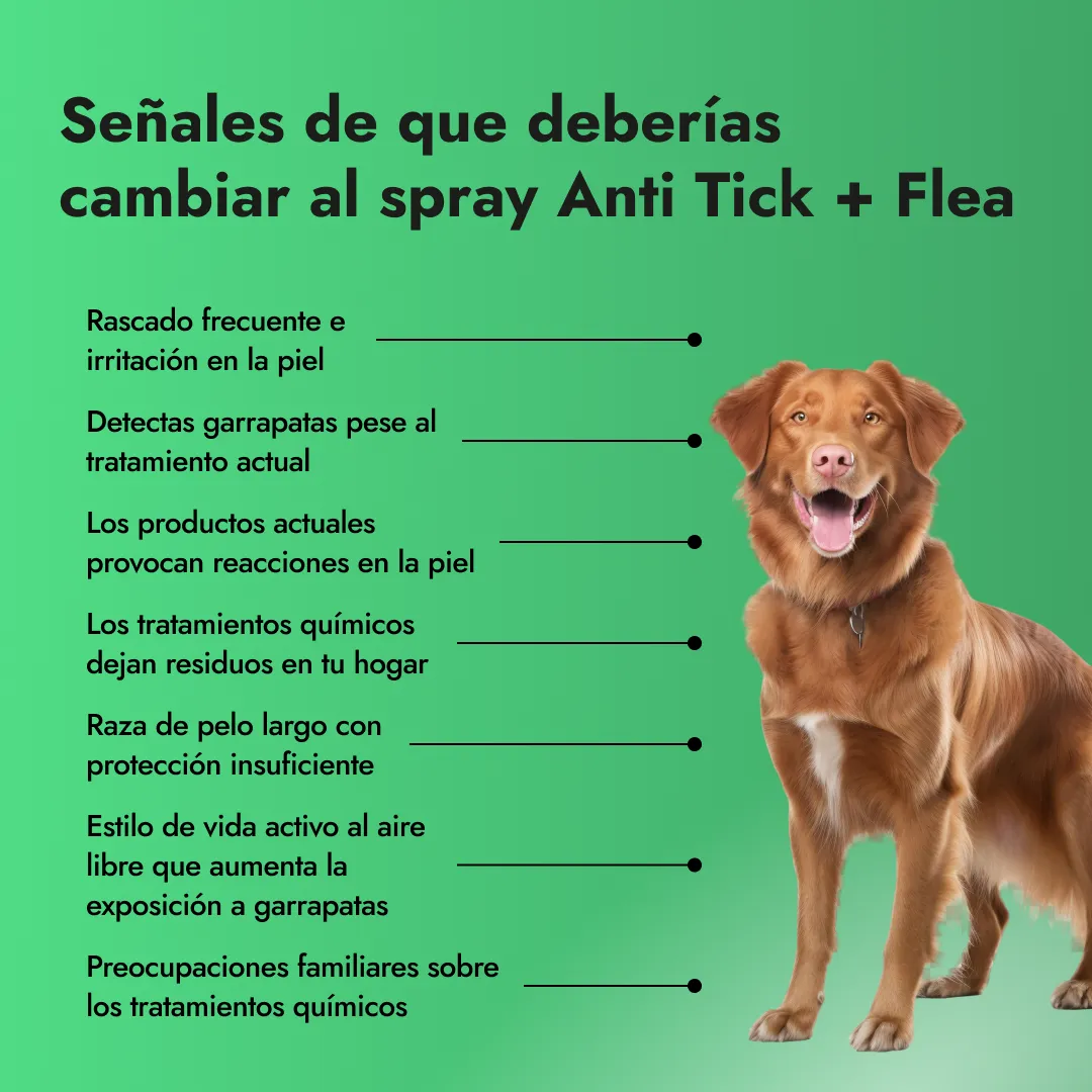Anti Tick + Flea Spray