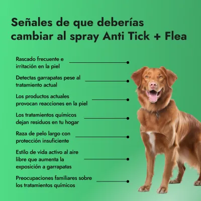 Anti Tick + Flea Spray