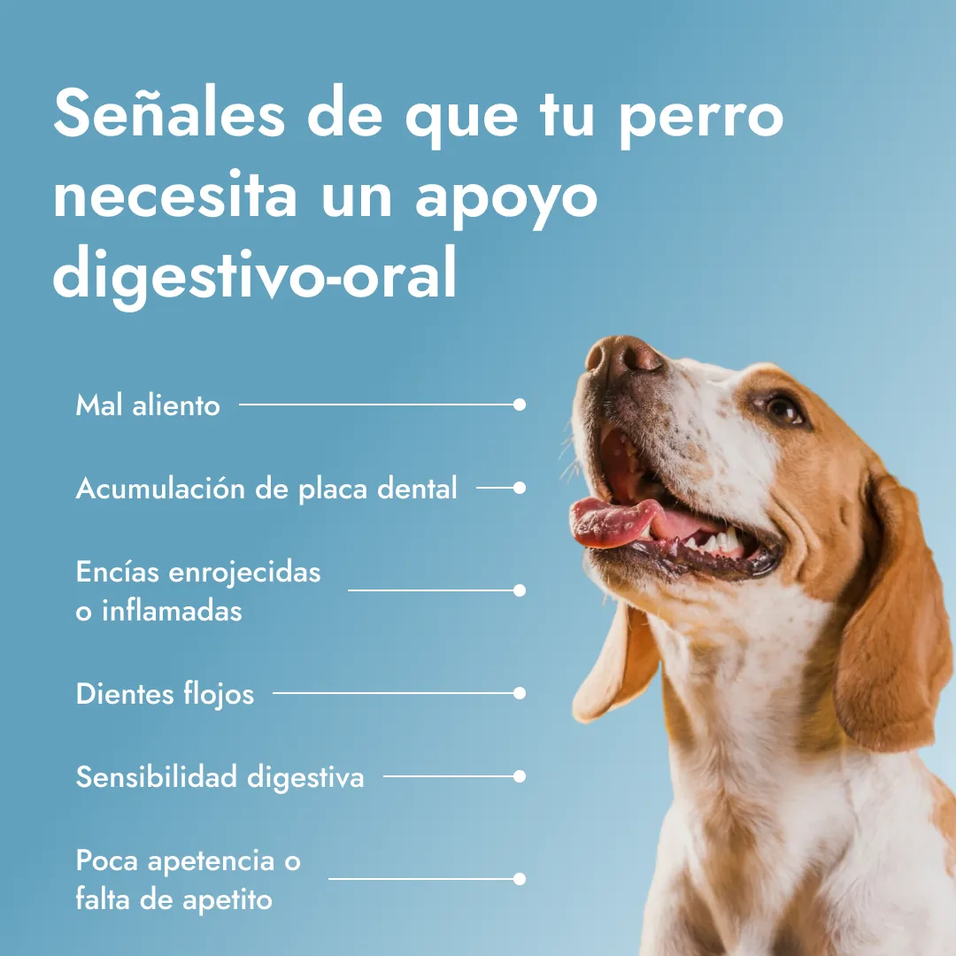 Dental PetBiotics