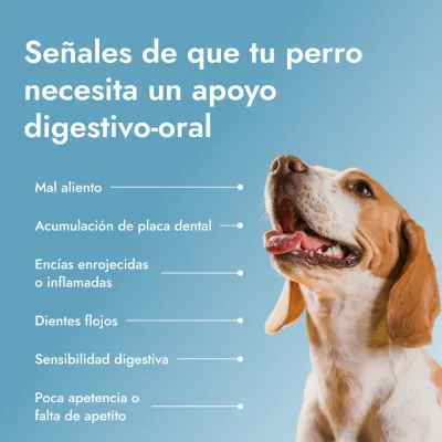 Dental PetBiotics