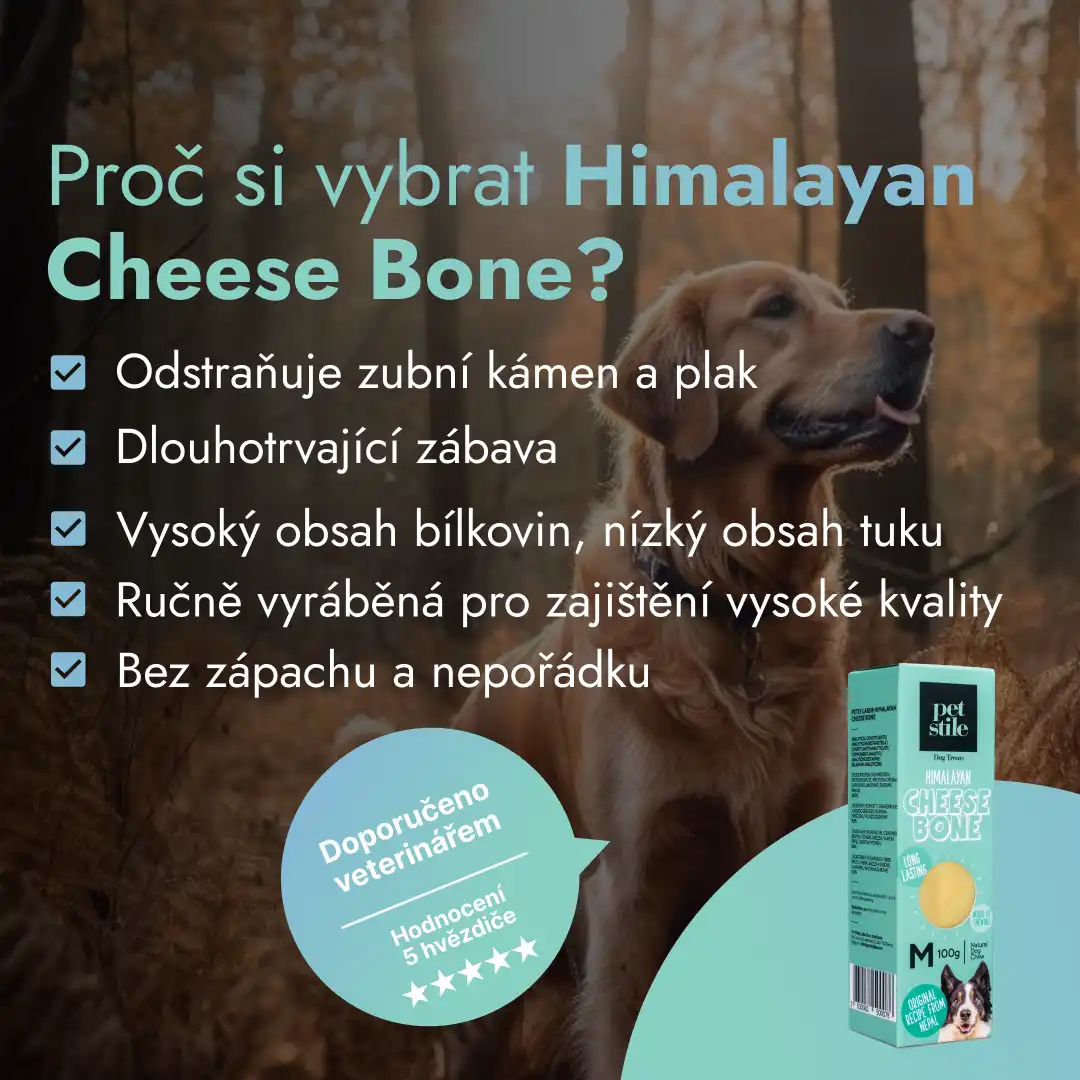 Cheese Bone - M