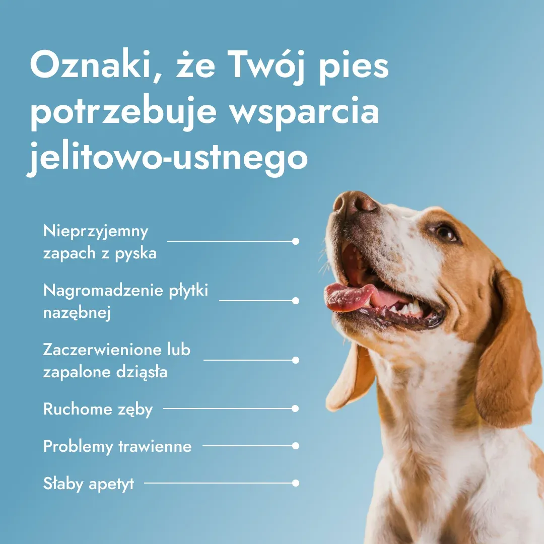 Dental PetBiotics