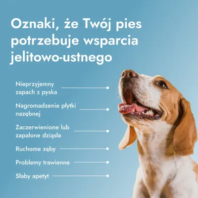 Dental PetBiotics
