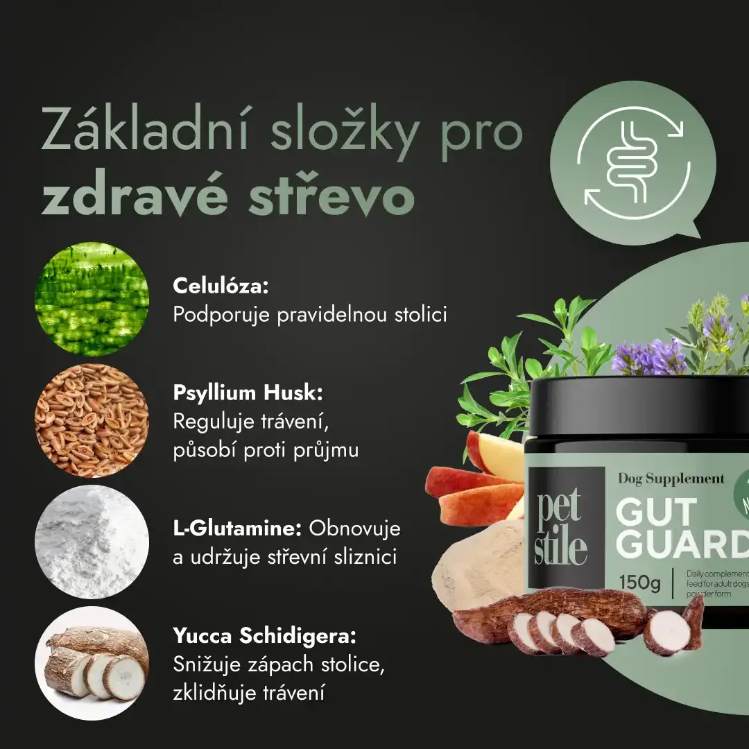 Gut Guard
