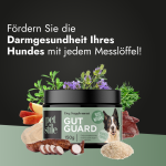 Gut Guard