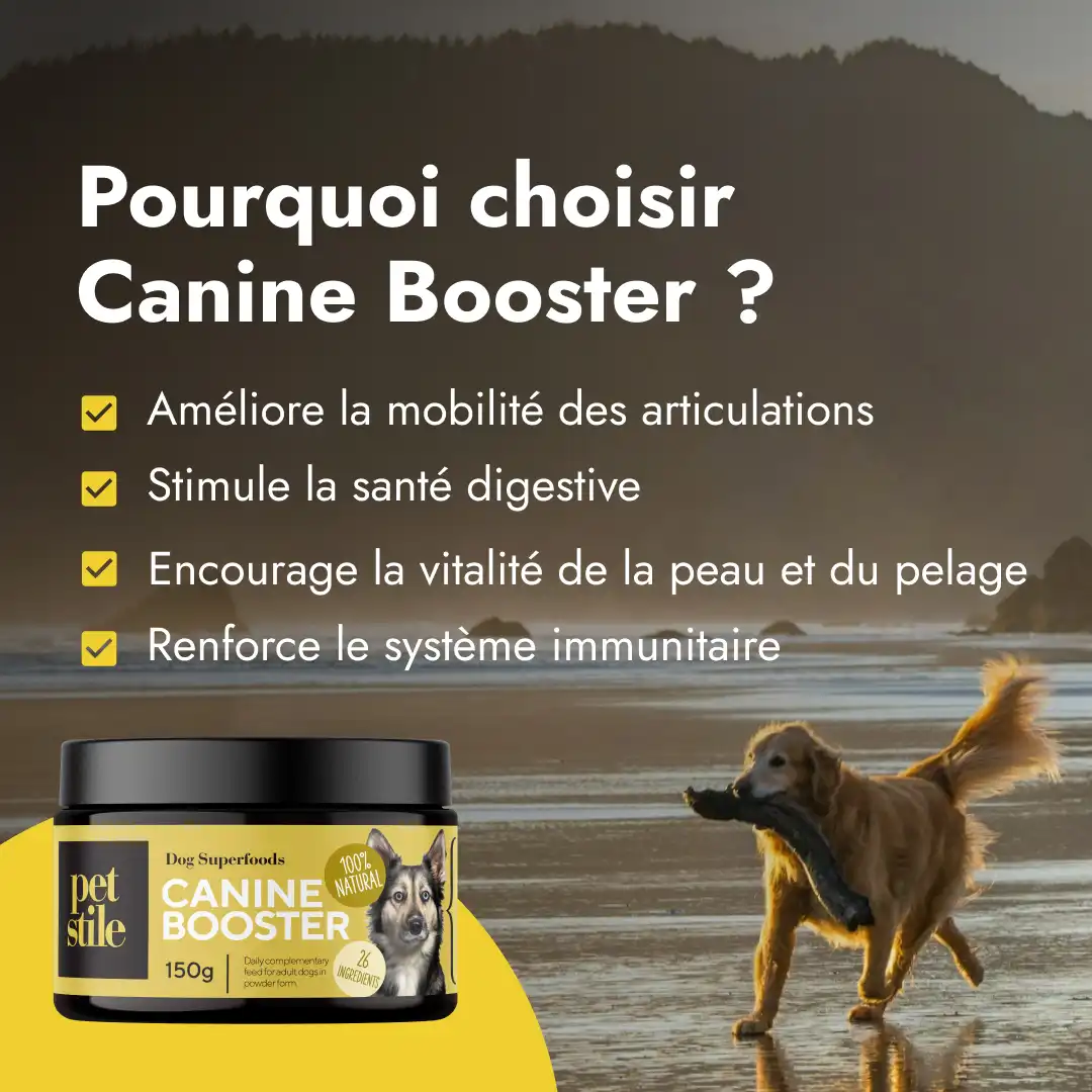 Canine Booster