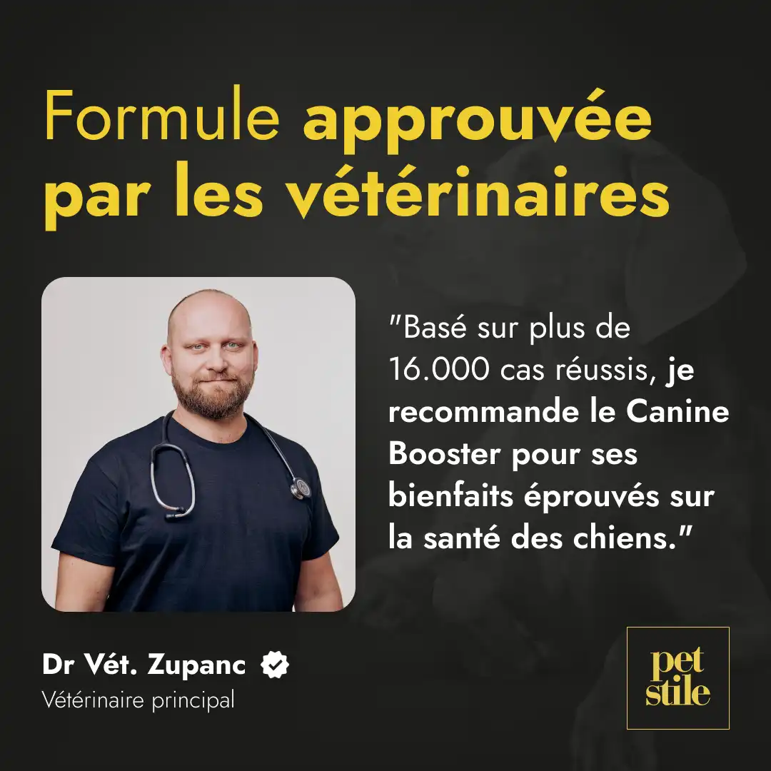Canine Booster