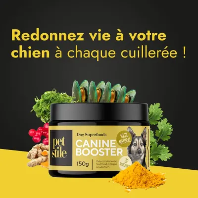 Canine - Booster