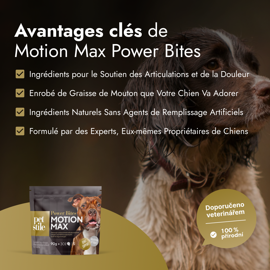 Motion Max - 30 Pièces