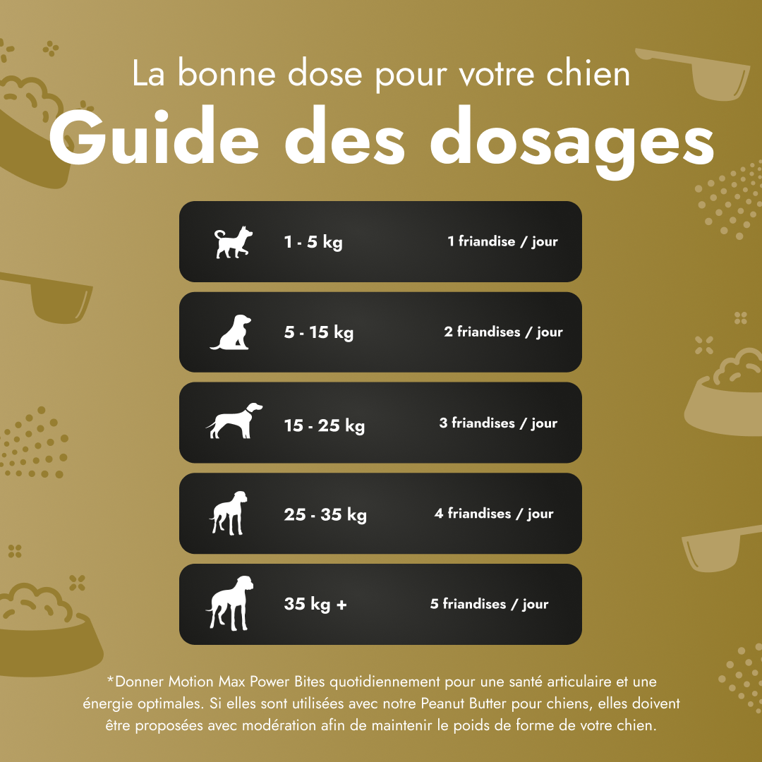 Motion Max - 30 Pièces