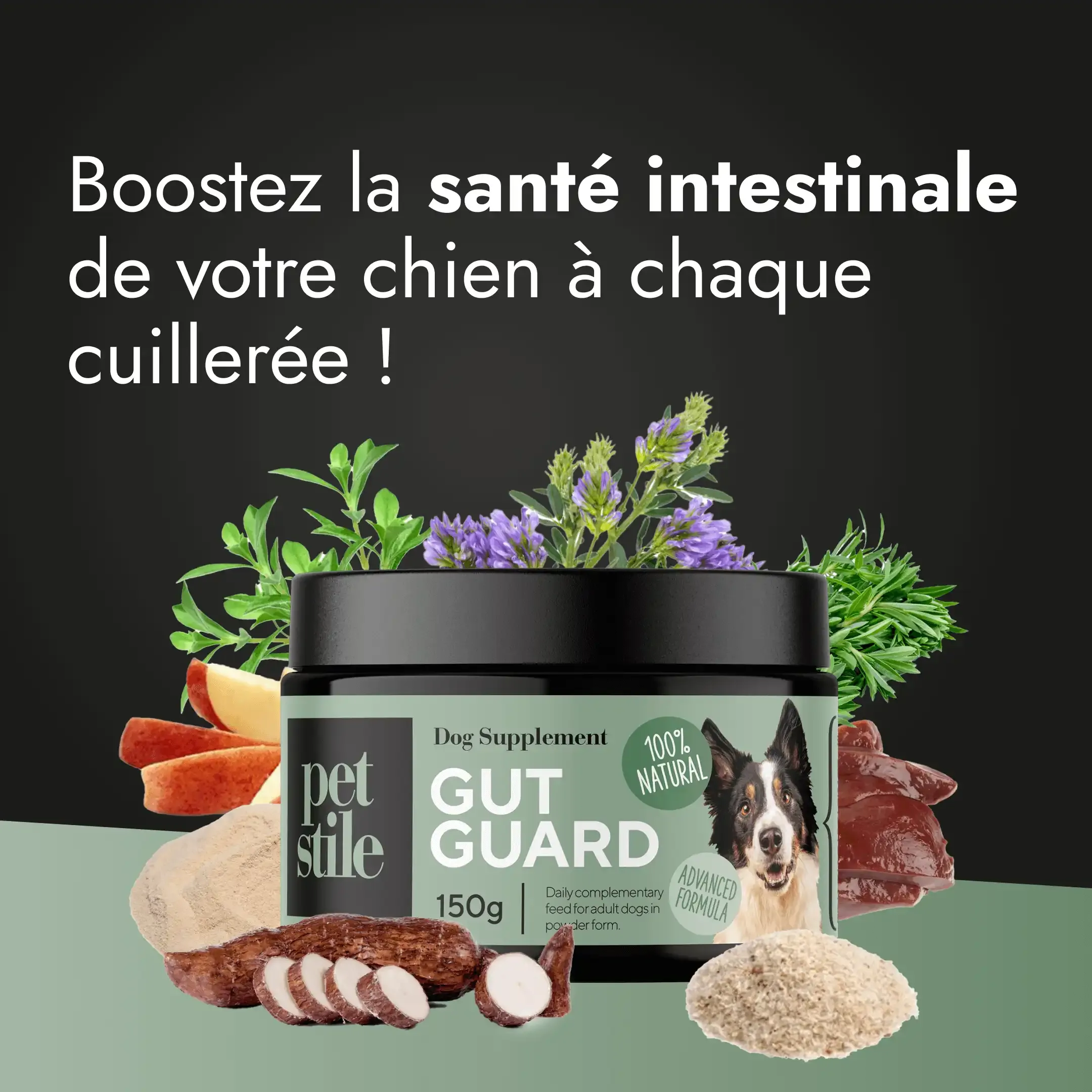 Gut Guard