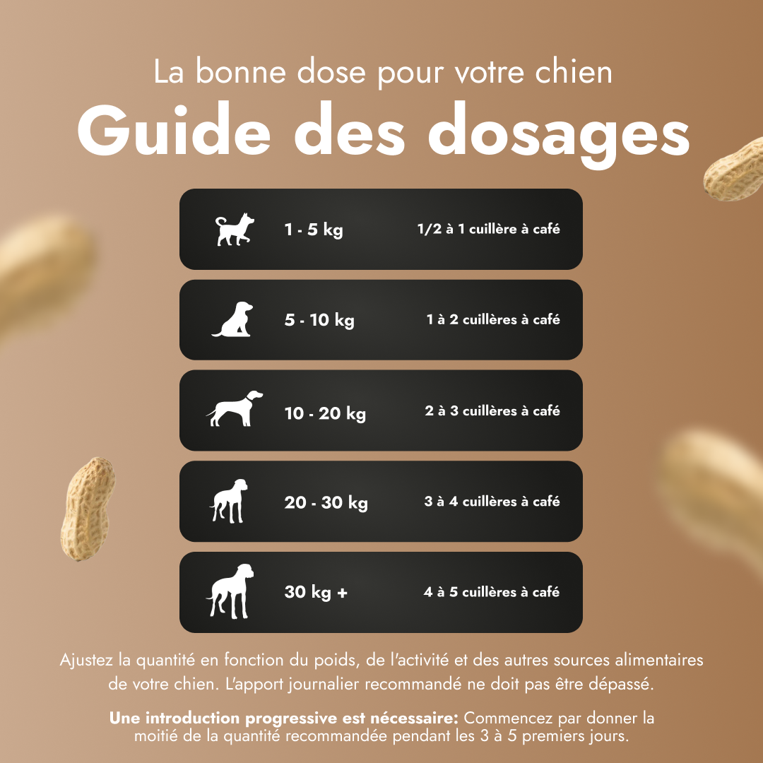 Peanut Butter for Dogs