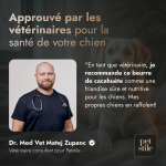 Peanut Butter for Dogs
