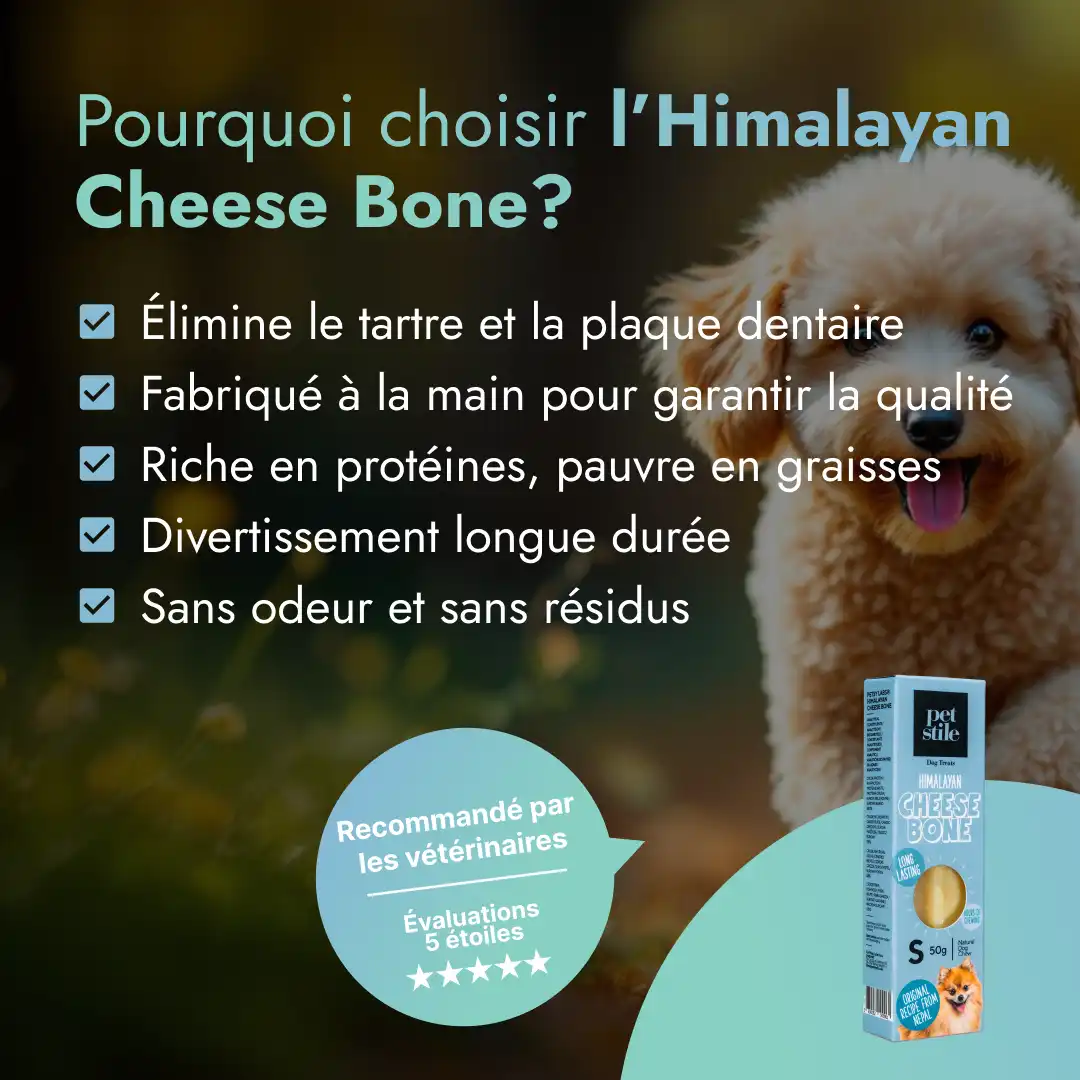 Cheese Bone - S