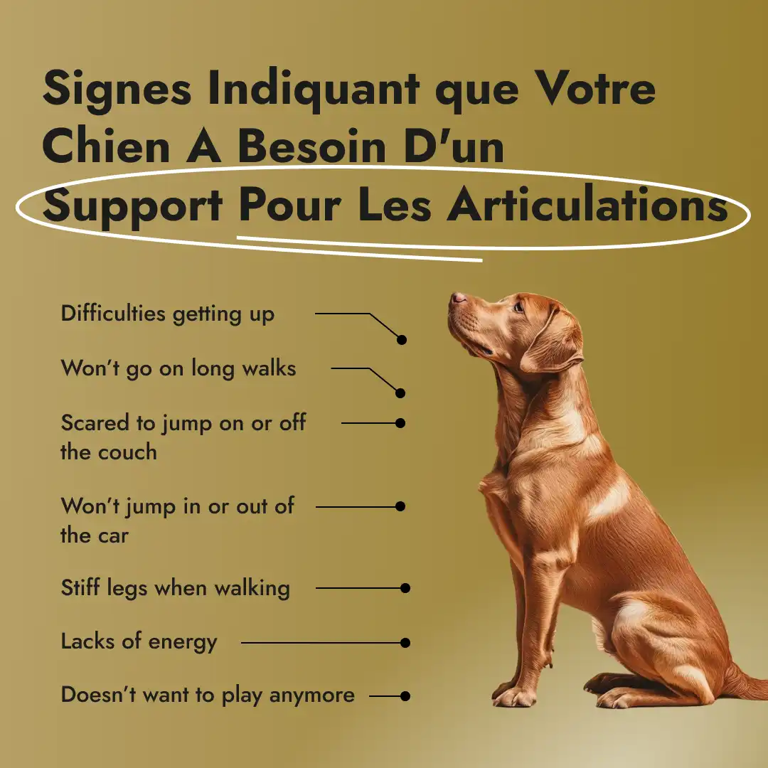 Motion Max - 90 Pièces