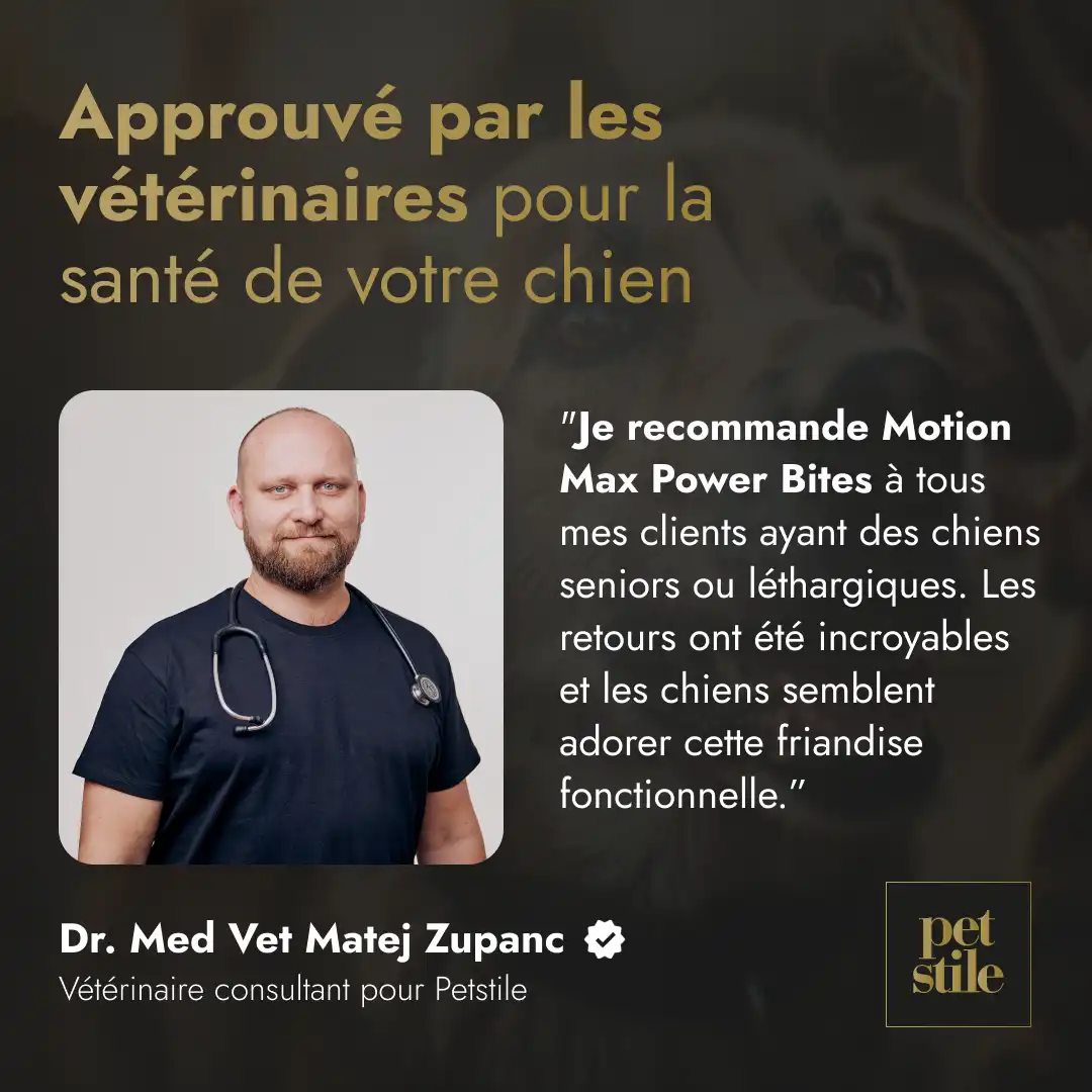 Motion Max - 90 Pièces