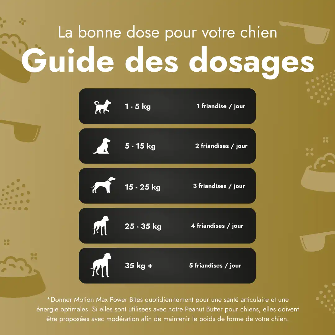 Motion Max - 90 Pièces