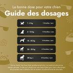 Motion Max - 90 Pièces