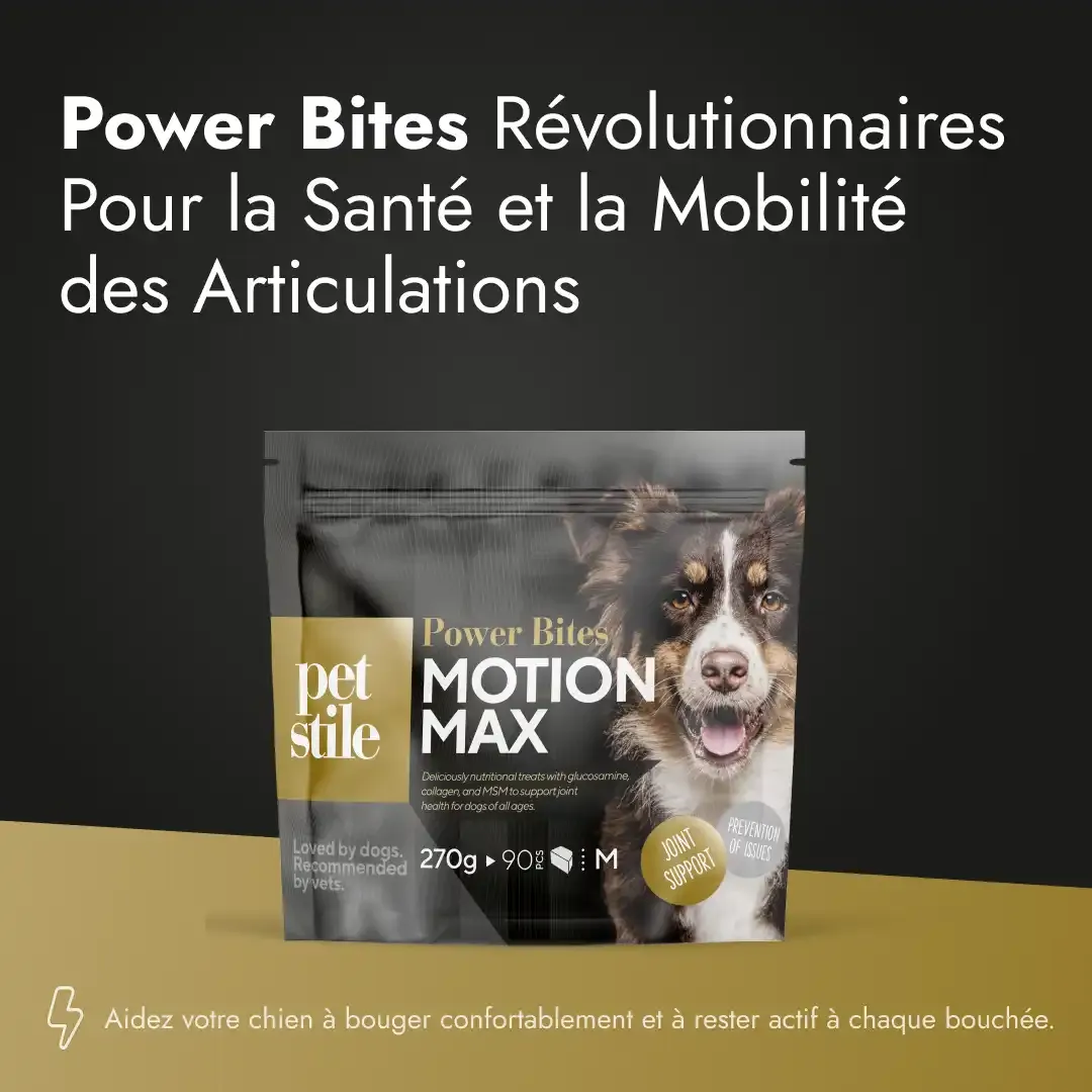 Motion Max - 90 Pièces