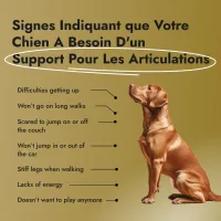 Motion Max - 90 Pièces