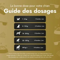 Motion Max - 90 Pièces