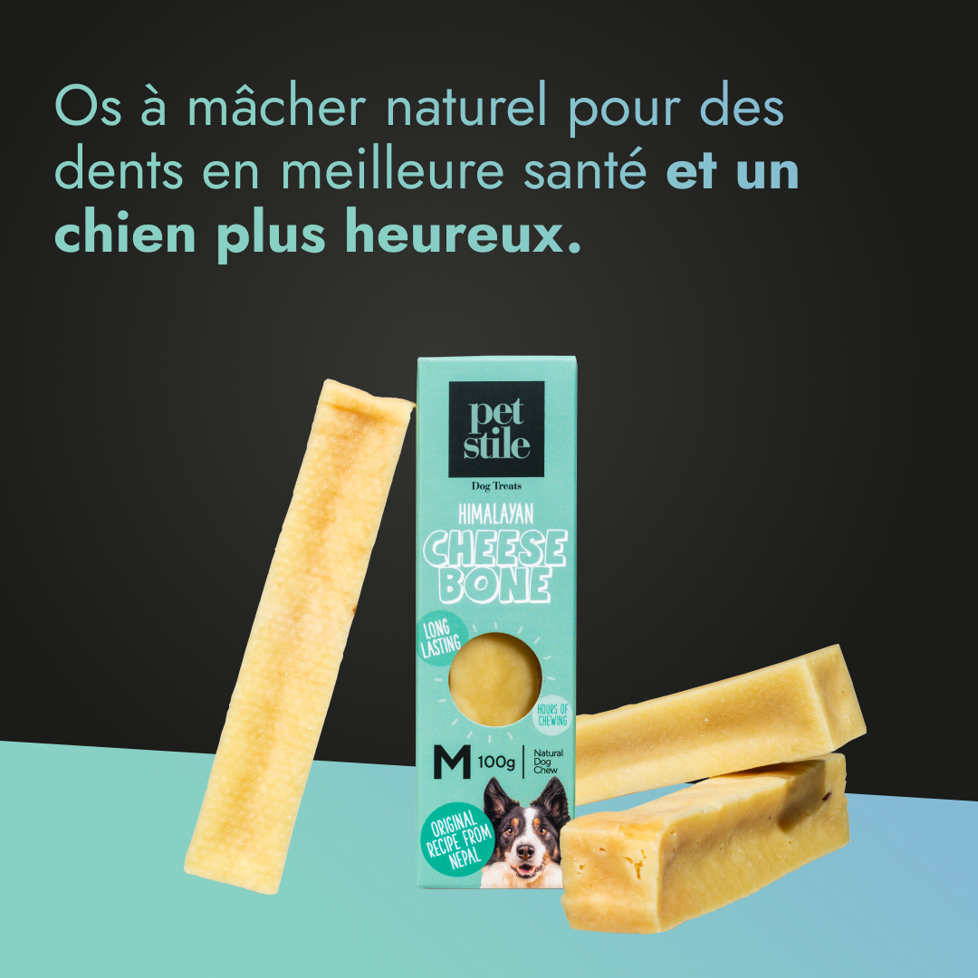 Cheese Bone - M